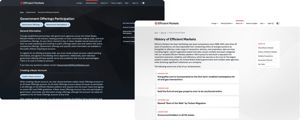Efficient Markets dark and light mode